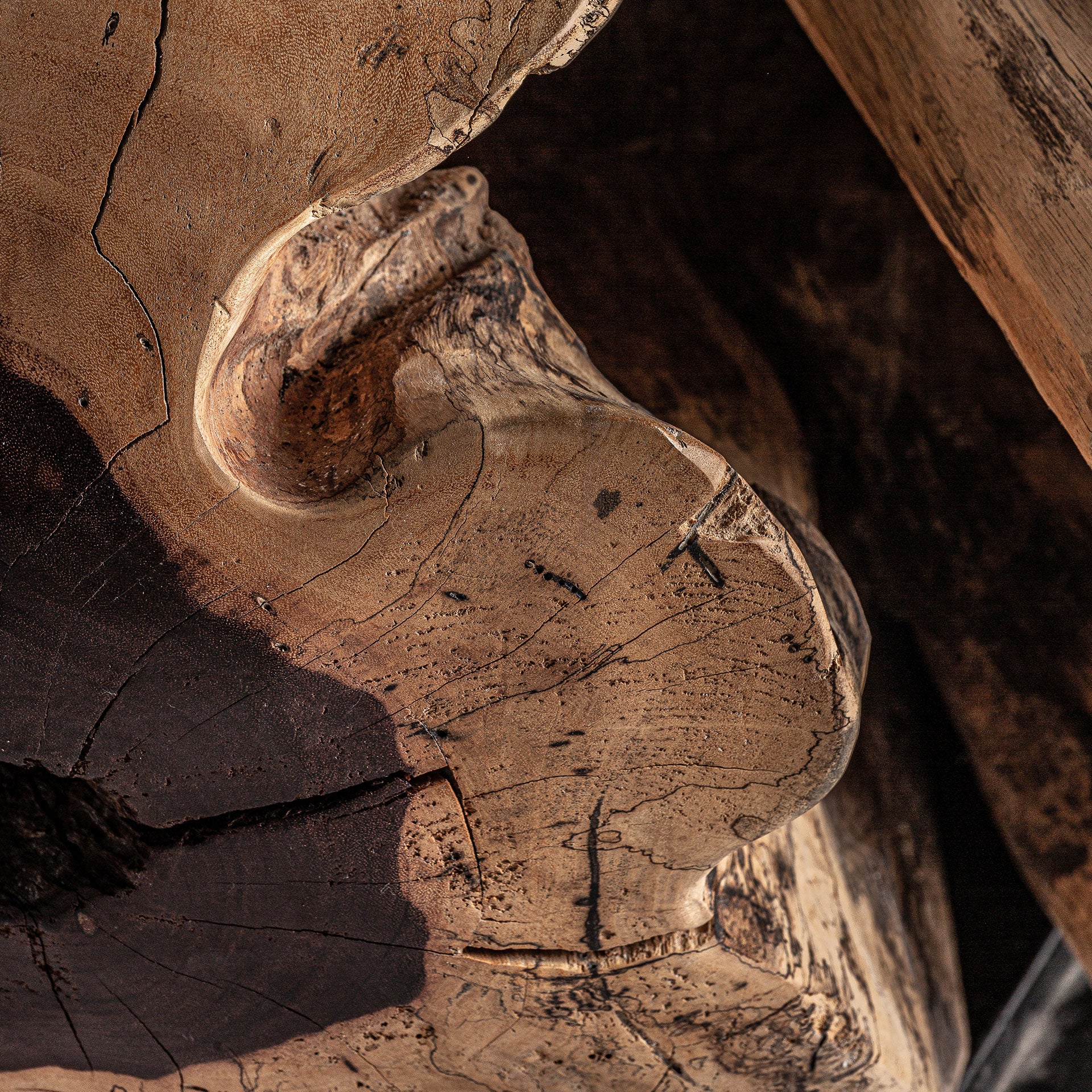 DHARM COFFEE TABLE